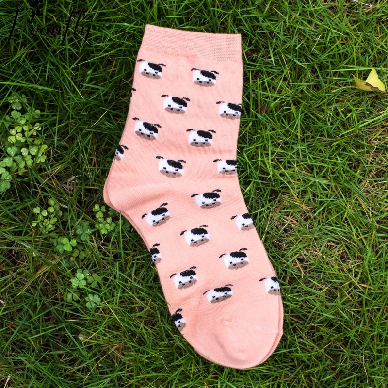 New creative Cartoon cute puppy pattern printing women socks Fashion Brand warm cotton 5 pairs/lot | Женская одежда