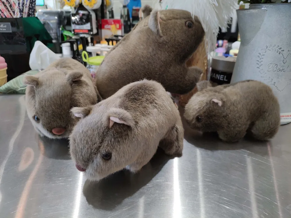 1 шт. 18 см имитация плюшевой женщины морской свиньи Cavia Porcellus мягкая игрушка дикое