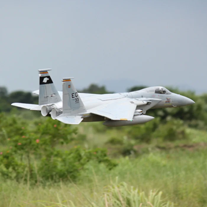 Freewing F-15 Eagle 90 мм EDF jet plane PNP EPO модель самолета F15 | Игрушки и хобби