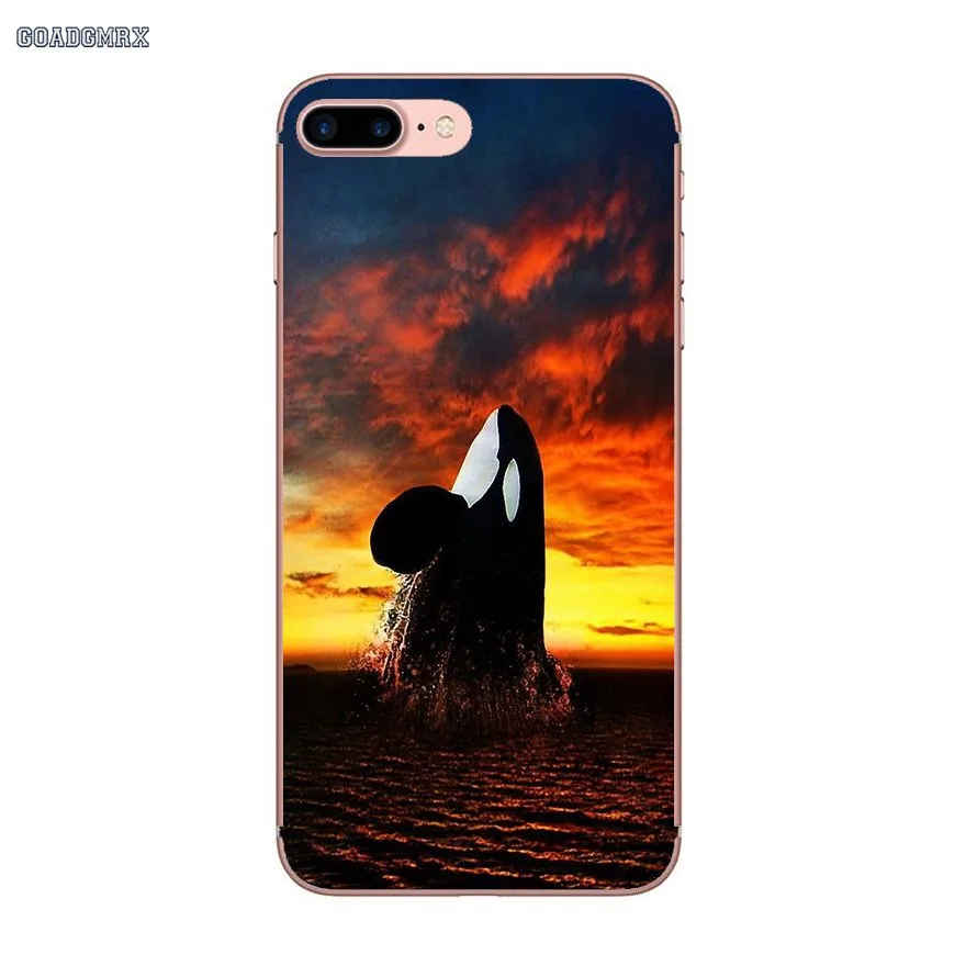 Прозрачный мягкий чехол для iPhone 6 6S 7 8 Plus X XS MAX XR 4 4S 5 5S SE 5C с принтом Кита | Мобильные
