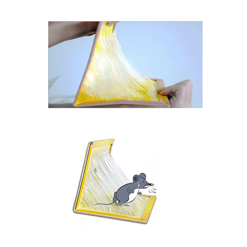 5 шт./партия большой размер доска для мыши клейкая мышеловка + приманка
