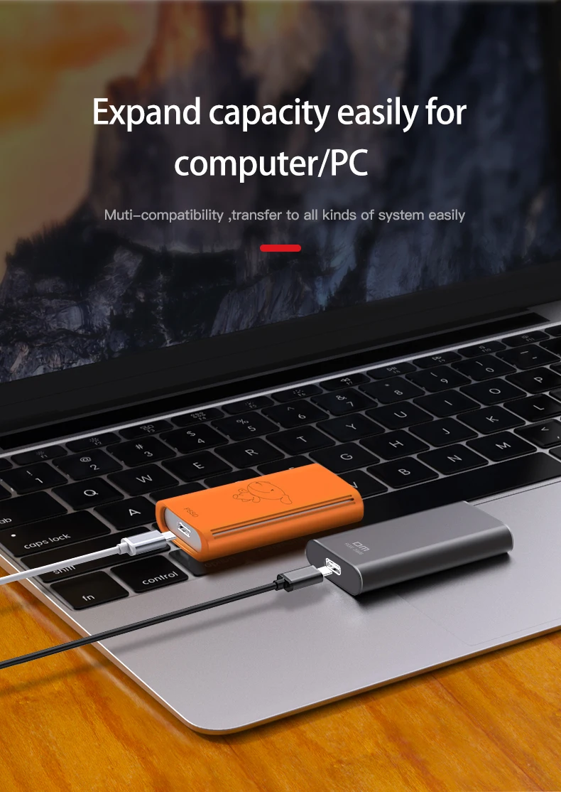 DM FS300 внешние твердотельные накопители 256 ГБ/512 ГБ/1 ТБ портативный SSD Внешний жесткий диск hdd для ноутбука с USB 3,1 type C