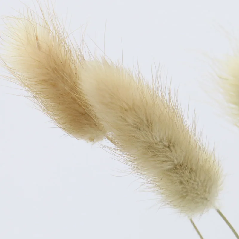 Натуральные сушеные цветы для украшения дома комплект из 30 цветов