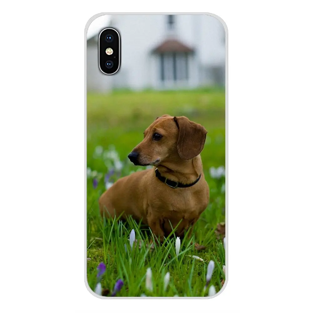 Мягкие прозрачные чехлы для Huawei P Smart Mate Honor 7A 7C 8C 8х9 P10 P20 Lite Pro Plus Такса doxie flower dog