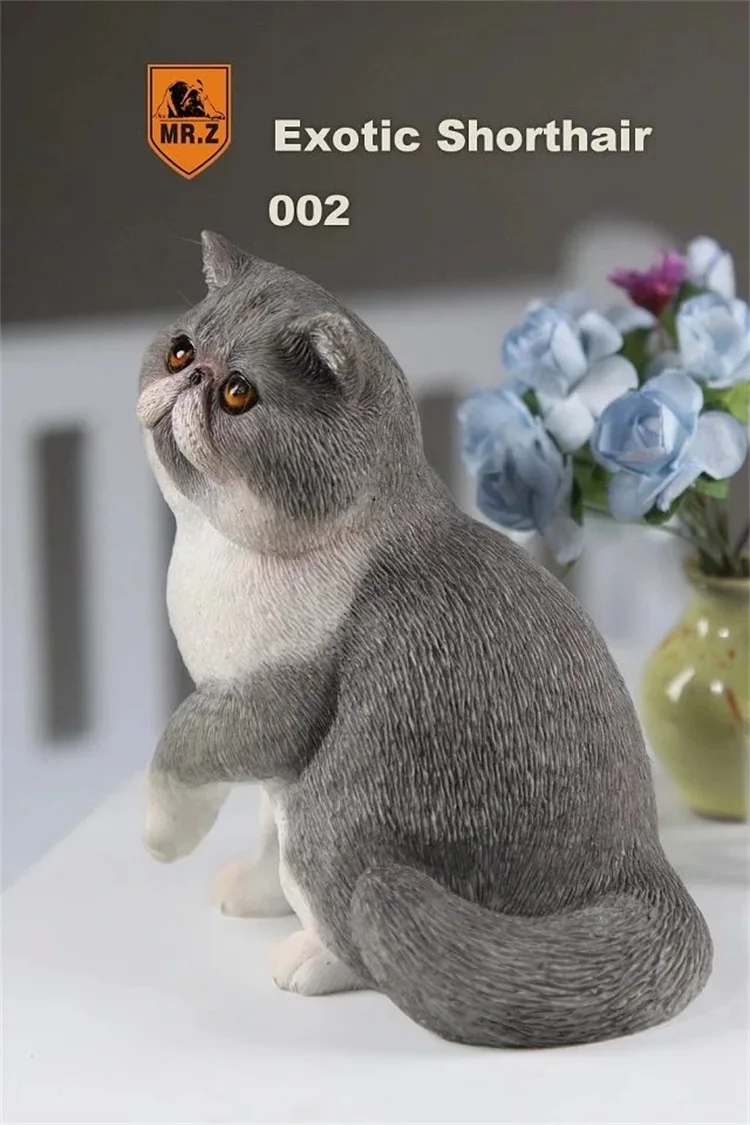 MR. Z серия «животные» № 8 1/6 экзотические короткошерстной кошки персидская кошка Гараж Комплект для детей возрастом от 1" фигурку сцена DIY украшения автомобиля