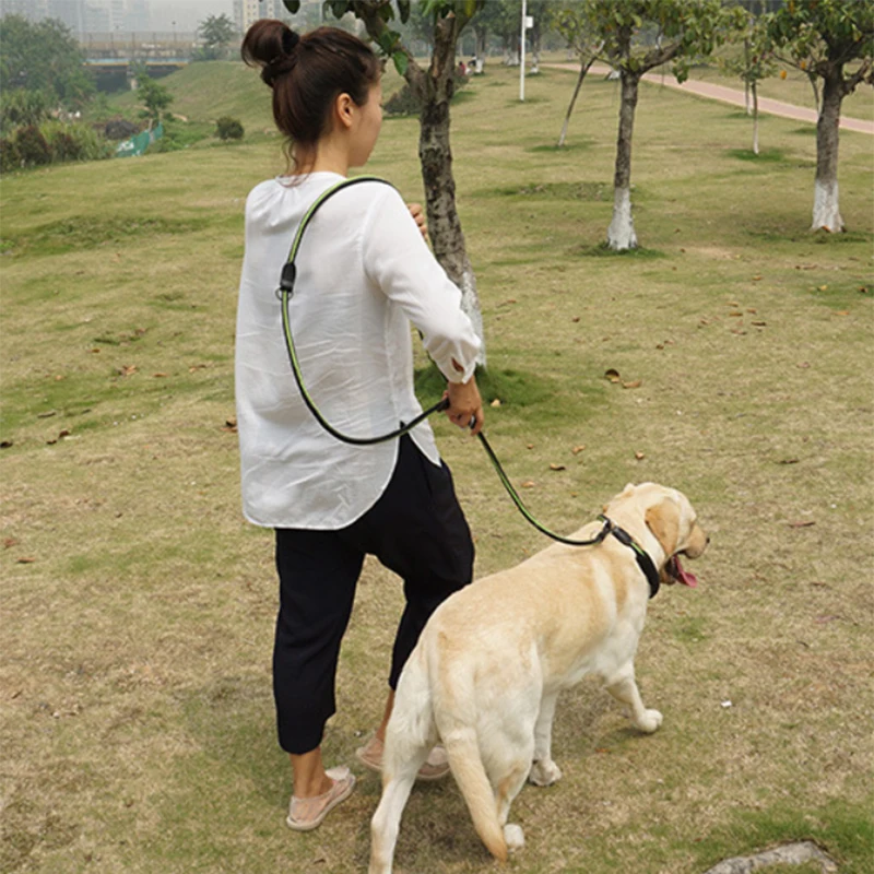 Поводок для больших собак нескользящий регулируемый поводок с цепью типа P