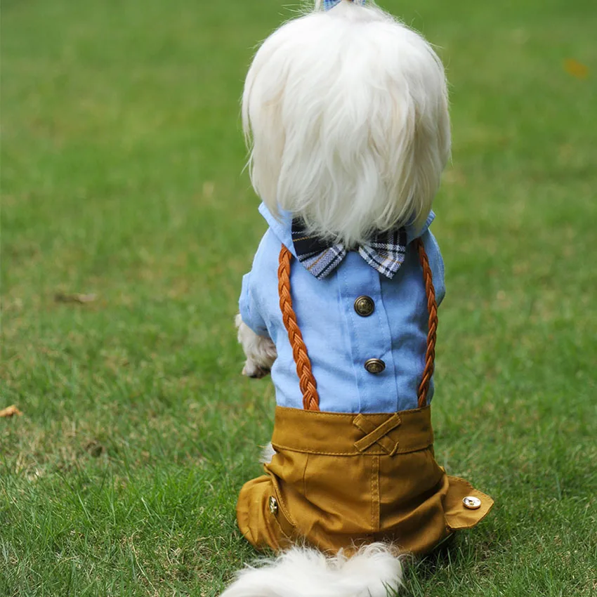 Spring And Summer Pet Dog Clothes 2 Colors England Style Braid Jumpsuit 4 Sizes Small Dogs Rompers Apparel END135 | Дом и сад