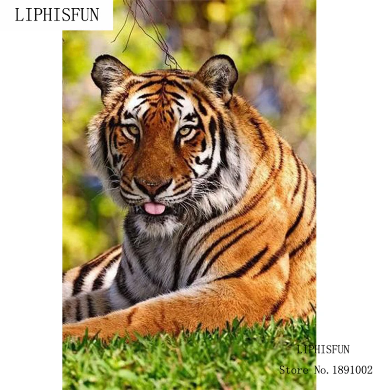 Needlework Diamond Mosaic Embroidery Tiger Kits For With Beads Patchwork Accessories Hobbies And Crafts|diamond mosaic|mosaic diamonddiamond