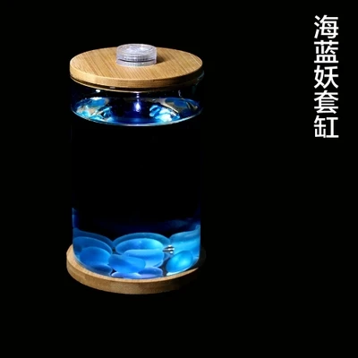Новая и странная игрушка миниатюрный стеклянный аквариум DIY экологическая бутылка настольная микро-вид офисный аквариум креативные подарки для девочки - Цвет: 4