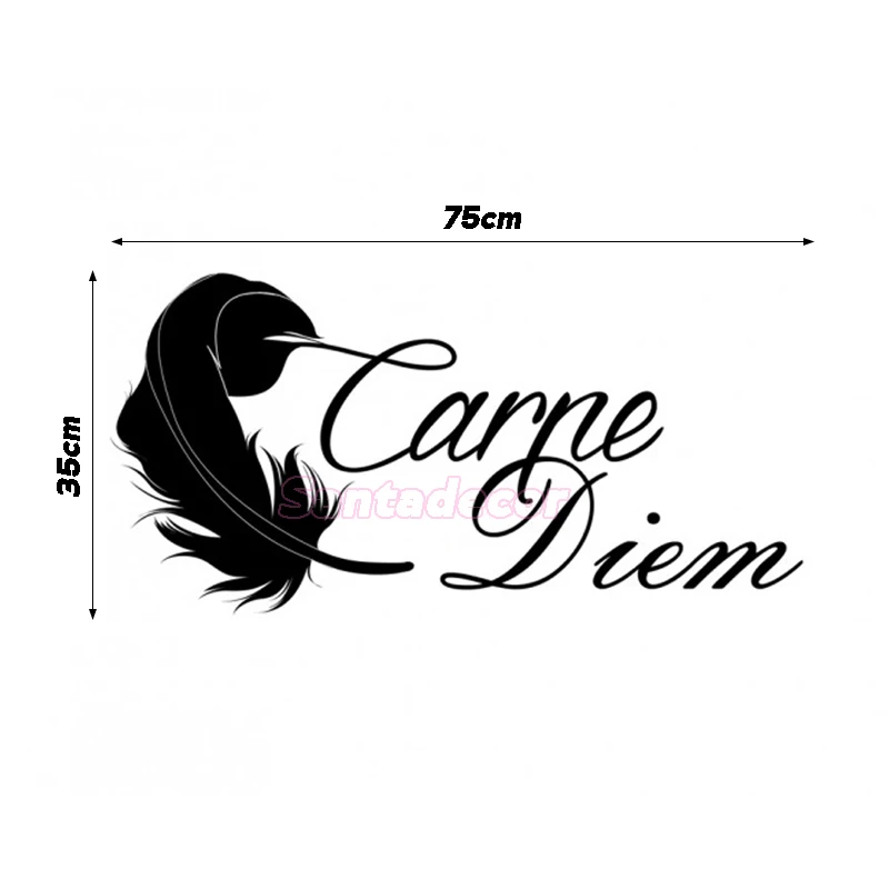 Виниловые Настенные стикеры Carpe Diem с французским рисунком съемные настенные