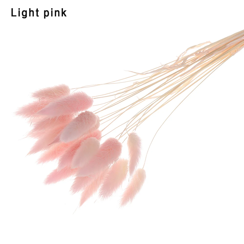 light pink 20 шт./лот, Натуральные сушеные цветы, цветные, lagunus Ovatus, настоящий букет цветов для дома, свадебные украшения, кроличий хвост, трава, букет - Цвет: light pink