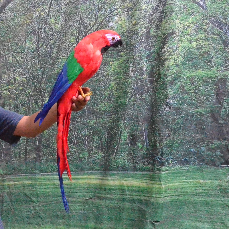 Искусственный попугай птица из пенопласта и цветные перья большой 65 см ручная