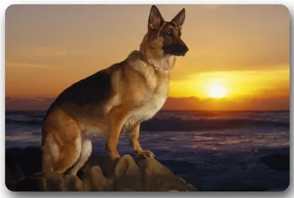 Модный Коврик для двери немецкая овчарка внутренний/наружный/передний коврик (23 6