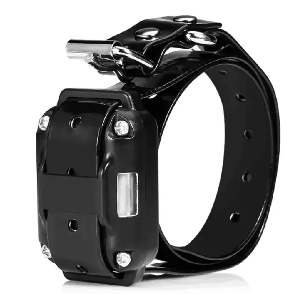 receiver Collar Ошейник для дрессировки собак электрический пульт дистанционного управления для домашних животных водонепроницаемый перезаряжаемый ЖК-дисплей ошейник для домашних животных все размеры Вибрационный звук - Цвет: receiver Collar