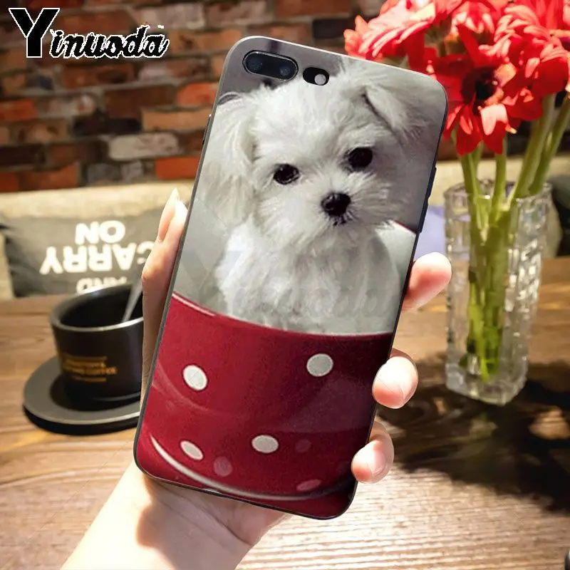 9 Yinuoda животное Bichon frise собака восхитительный цветной рисунок чехол для телефона Apple iPhone 8 7 6 6S Plus X 5s 11pro SE 5C Чехол - Цвет: 9