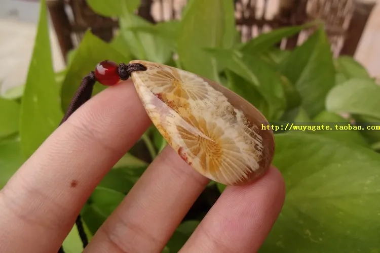 Тайвань природные органические gem коралловые ископаемых дейзи нефрита кулон /