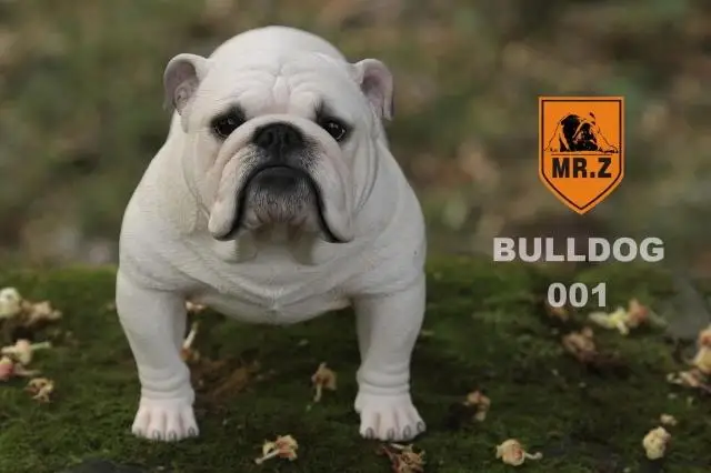 Mr.Z Настоящее животных серии No.6 1/4 Z001 008 британский Бульдог смолы статуя для 18