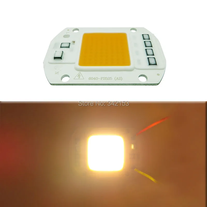 6040 50W AC220V/AC110V COB светодиодные чипы белый 6000 6500K теплый 3000 3200K полный спектр розовый