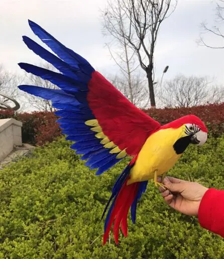 Большой 42x60 см крылья попугая птица пена и красочные перья попугай ручная работа
