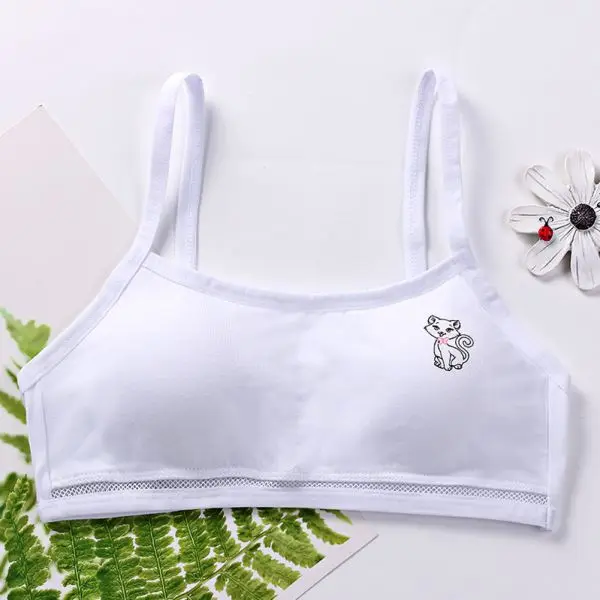 Girl Underwear Puberty Girls Summer Animal Print Seamless Training Bra Teenage Soft Cotton Underwear 8-16T - Цвет: 1