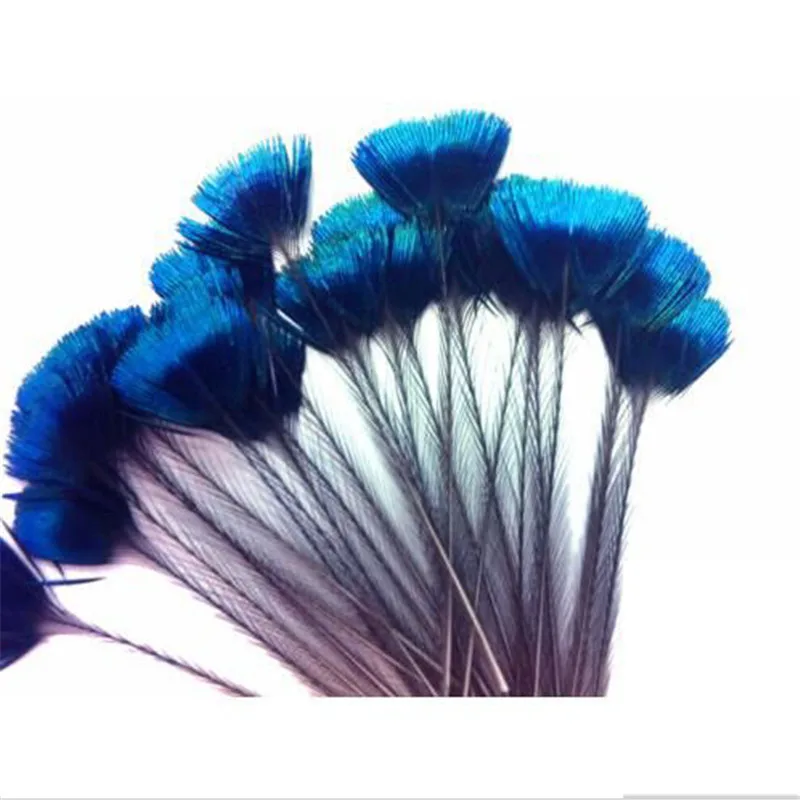 10 красивых естественных цветов Голубой Ирис Павлин Корона/короны свободные