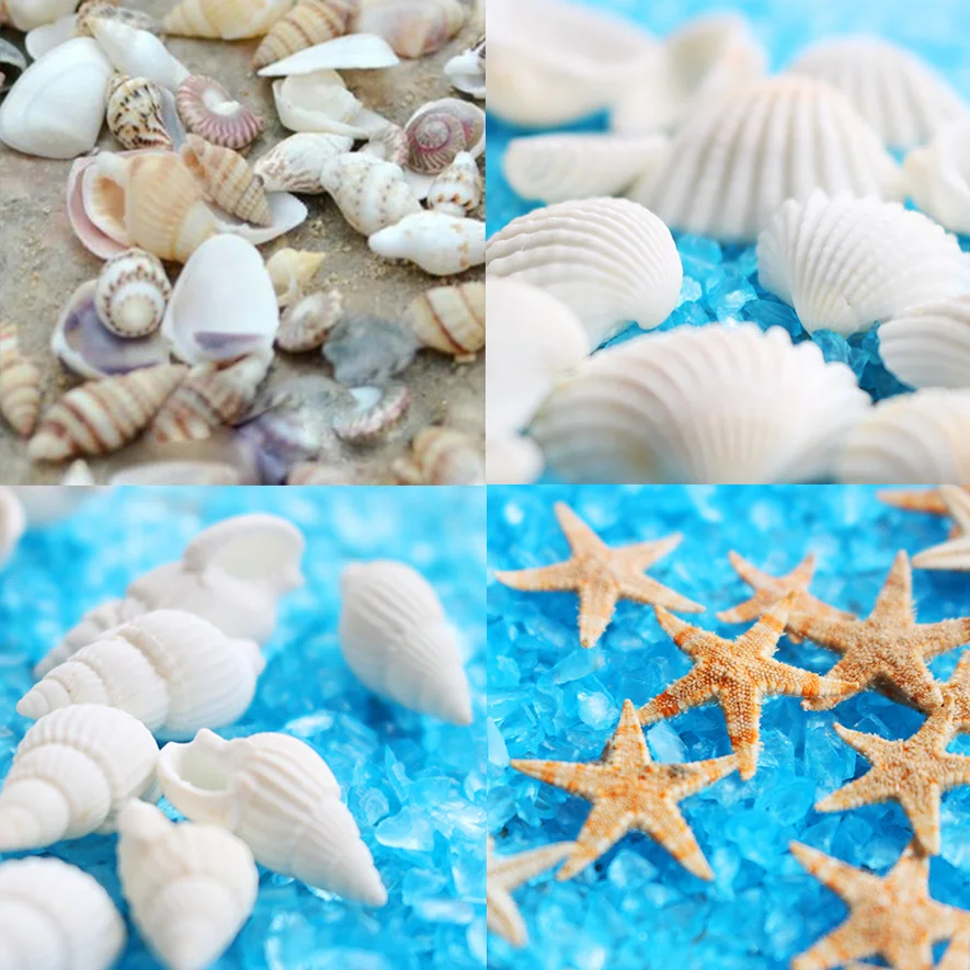 Mini cuentas de concha de mar natural de 1cm de estrella de mar, accesorios de joyería de tamaño mixto, vial de vidrio colgante, relleno de globo de vidrio, 40 piezas