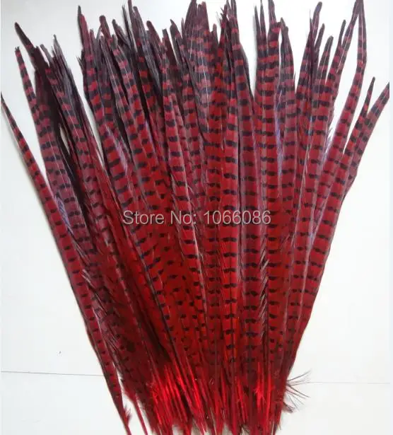 

Free shipping manufacturers sale 100pcs 55-60cm 22-24inch RED ringneck feather tail lady amherst pheasant feathers