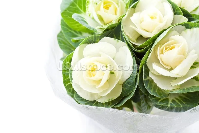 Пользовательские обои Капустные цветы ретро фрески для гостиной спальни диван