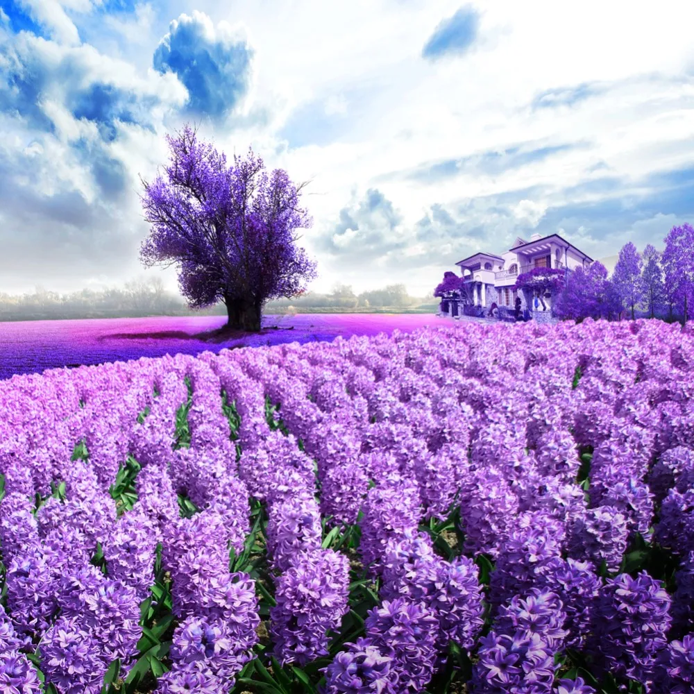 5D DIY Diamond Painting lavender fields Embroidery Full 3D Cross Stitch Rhinestone Mosaic Scenic Home Dec Gift | Дом и сад
