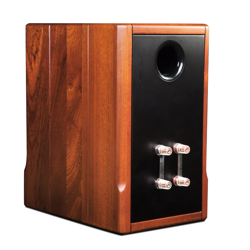 PAIYON P9 HIFI колонки для полки audiophile MOREL TICW 638 + ST1108 блок|Потолочная акустика| |