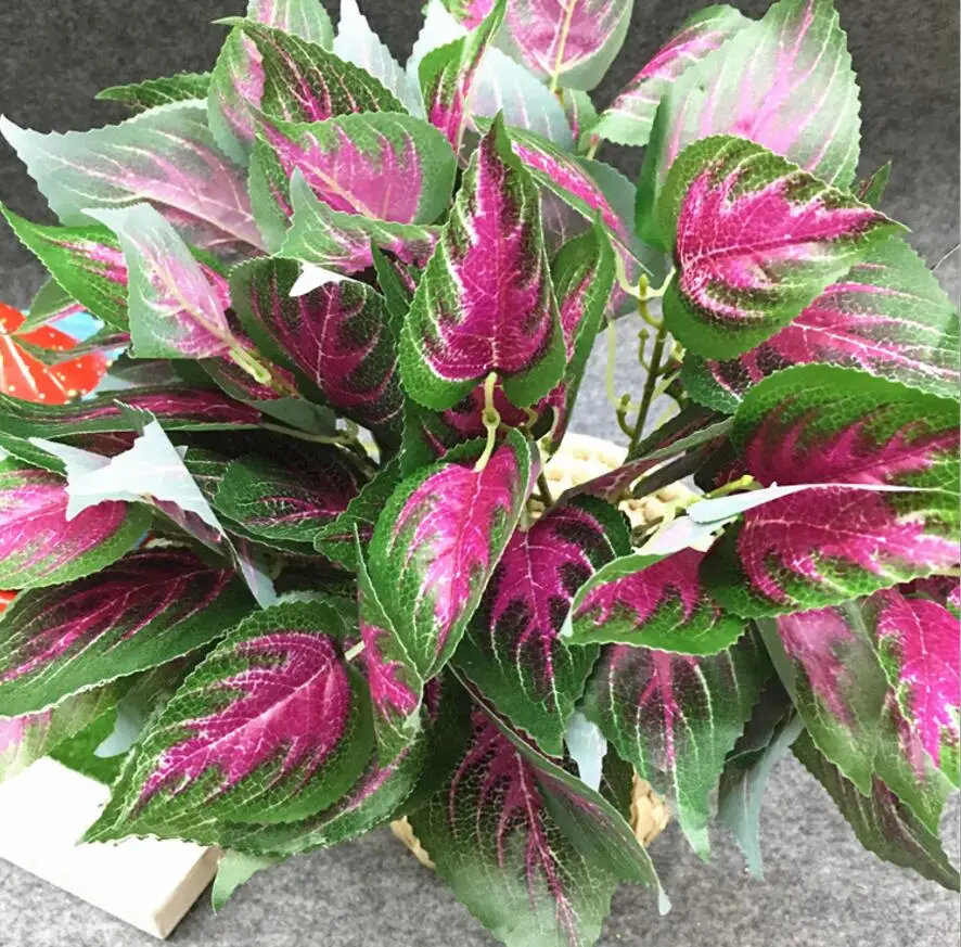 Ветка листьев периллы 5 шт. | Дом и сад