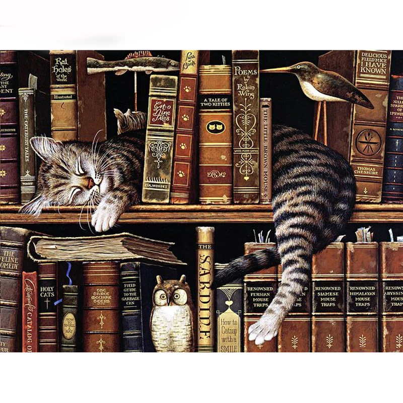 H1332 алмазная живопись вышивка полностью квадратная книжный шкаф кошка | Дом и сад