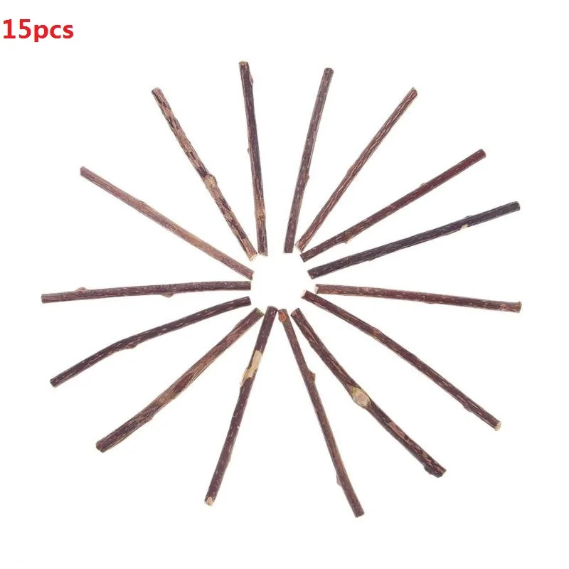 15pcs 15/20 штук кошка чистки зубов натуральная кошачья мята домашняя кошка молярная зубная паста палка Matatabi плод актинидии Silvervine для кошек снэки палочки - Цвет: 15pcs