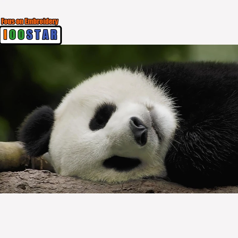 

100% полностью 5D квадратные/круглые картины из страз «сделай сам» Милая Панда 3D алмазная живопись Стразы картины Вышивка