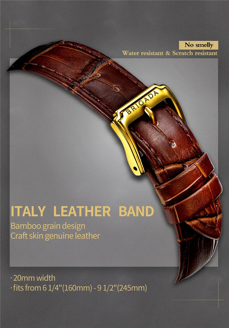 

BRIGADA Swiss Watches for Men, Classic Gold Business Casual Waterproof Quartz Men's Watch, Great Gift for Families, Lover