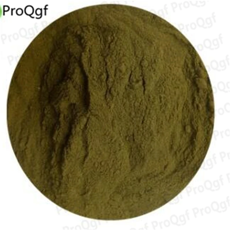 ProQgf 200gram moringa