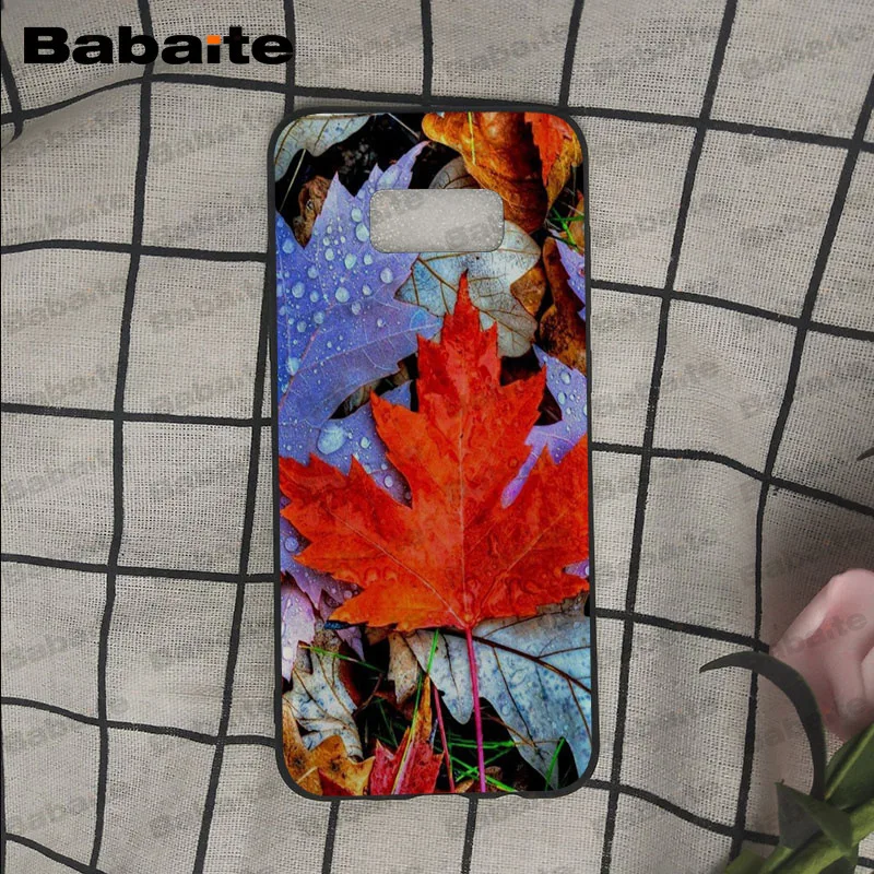 Осенний силиконовый чехол для телефона Samsung Galaxy s9 s8 plus note 8 note9 s7 s6edge funda Babaite |