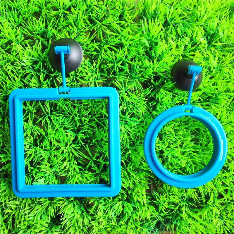 Кормушка для рыб аквариумное кольцо аквариума фидерная станция плавающий круг