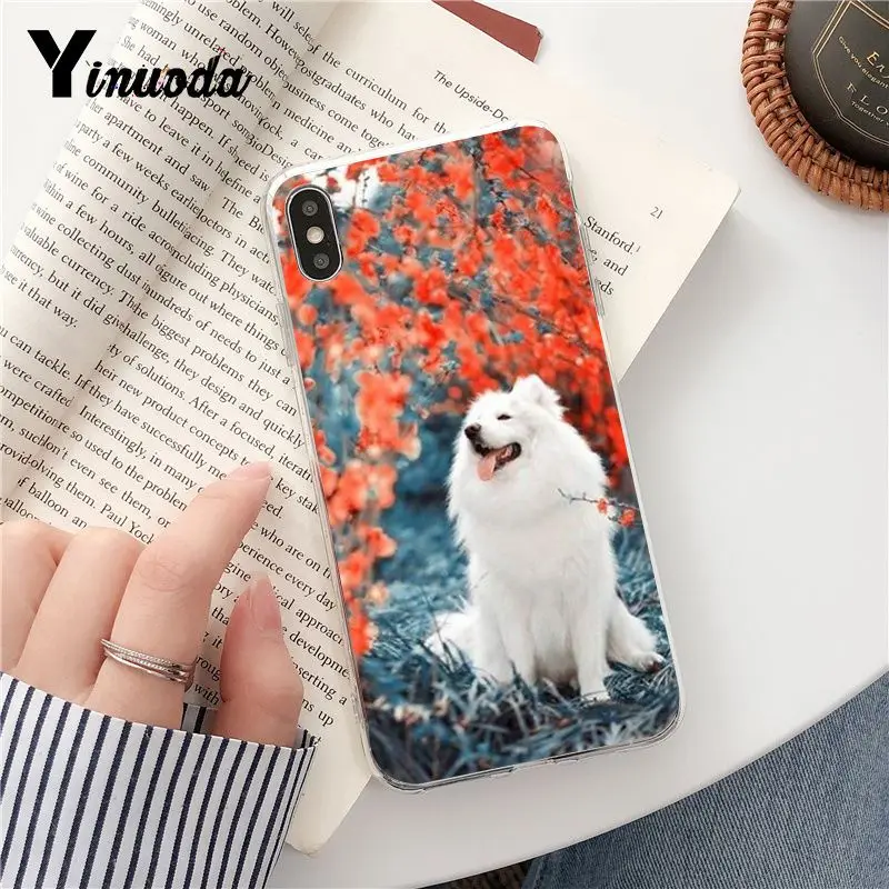 Yinuoda Dog Pomeranian Новое поступление Прозрачный чехол для телефона iPhone 5 5Sx 6 7 7plus 8 8Plus X XS