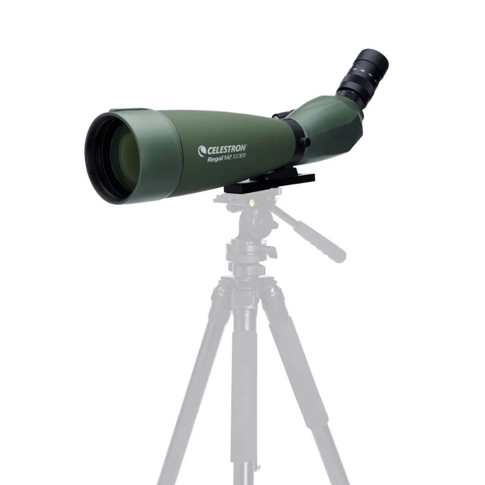 Celestron REGAL M2 100 F ED 45 градусов 22x 67x зум Зрительная труба телескоп с многослойным