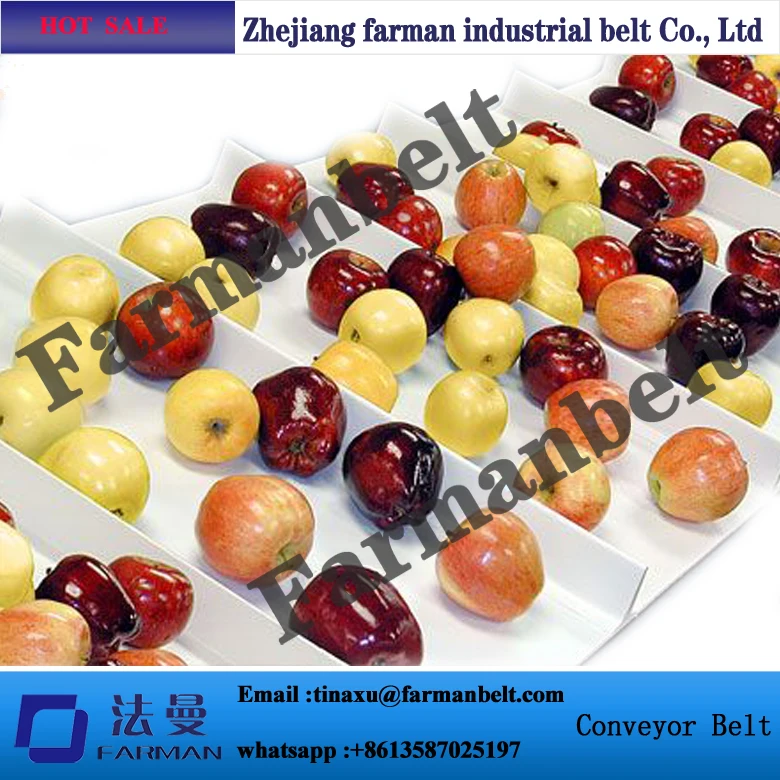 Конвейерная лента из ПВХ/полиуретана для яиц фруктов скоб и юбок | Обустройство