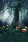Хэллоуин фотография злые тыквы Полночь фоны для фото виниловые 3D печатные фотофоны для фотостудии