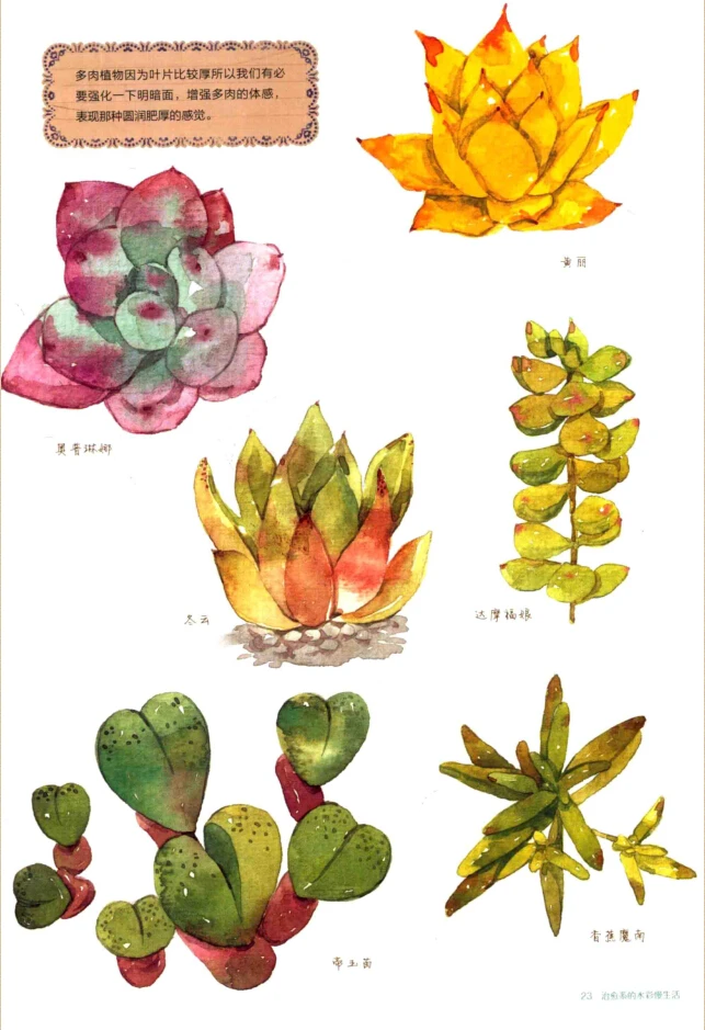 Эскиз книги живопись книга жизни: Исцеление акварельной жизни медленно изучая