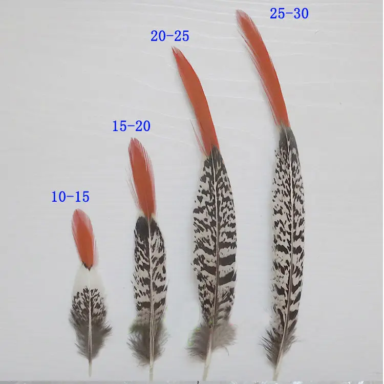 10 шт. натуральные перья фазана 5 размеров|lady amherst|feather plumeslady amherst pheasant |