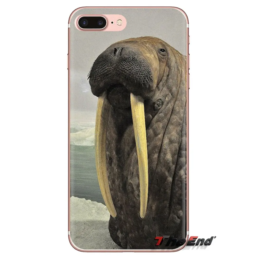 TPU Shell Case Walrus Odobenus rosmarus Russian Arctic For Samsung Galaxy J1 J2 J3 J4 J5 J6 J7 J8 Plus 2018 Prime 2015 2016 2017 |