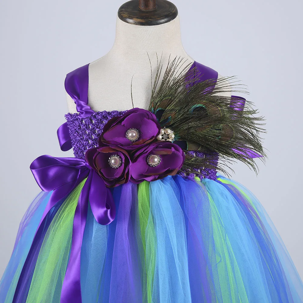 

Casual Girls Peacock Party Dresses Age 13 Children Peacock Feather Sleeveless Halloween Costumes for Teens Tutu Dress Ball Gown