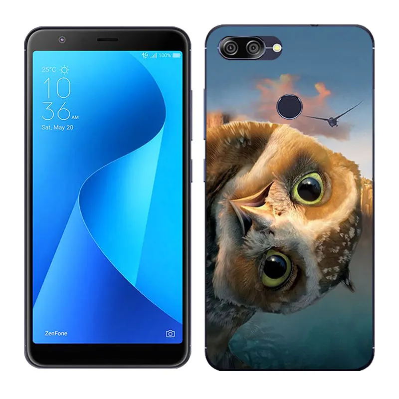 31 Для Asus Zenfone Max Plus M1 силиконовый чехол Land Луна роспись мягкий чехол для задней панели телефона для Asus Zenfone Max Plus M1 ZB570TL X018D - Цвет: 31
