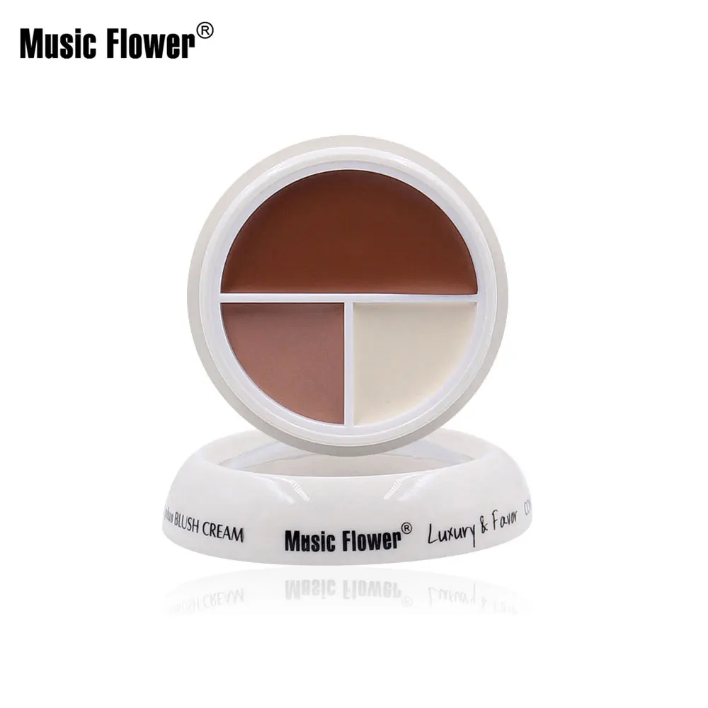 Music Flower 3 цвета матовое лицо полный охват консилер макияж Основа Тональная основа