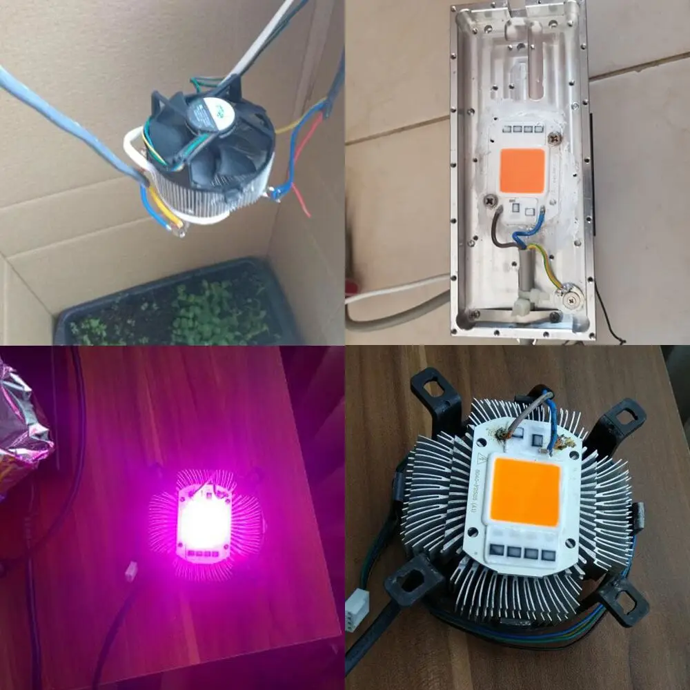 Светодиодный полный спектр растет чип 20 W 30 W 50 W Светодиодный удара шарика светильника для завод овощной шарик 110 V 220 В переменного тока