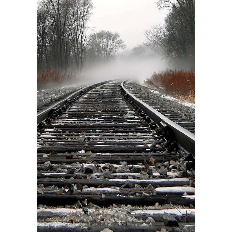 Пользовательские виниловые тканевые лесные старые железные дорожки фото фон для
